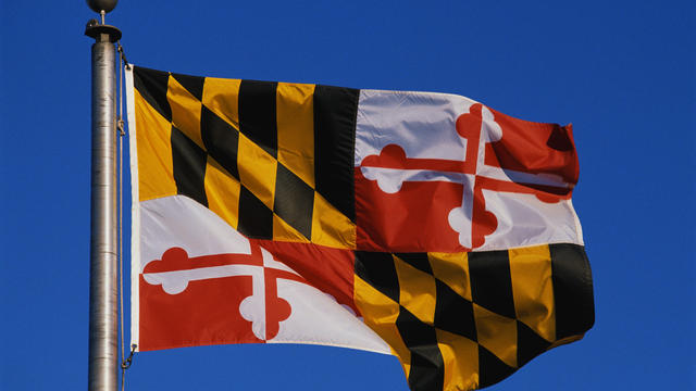 Maryland State Flag 